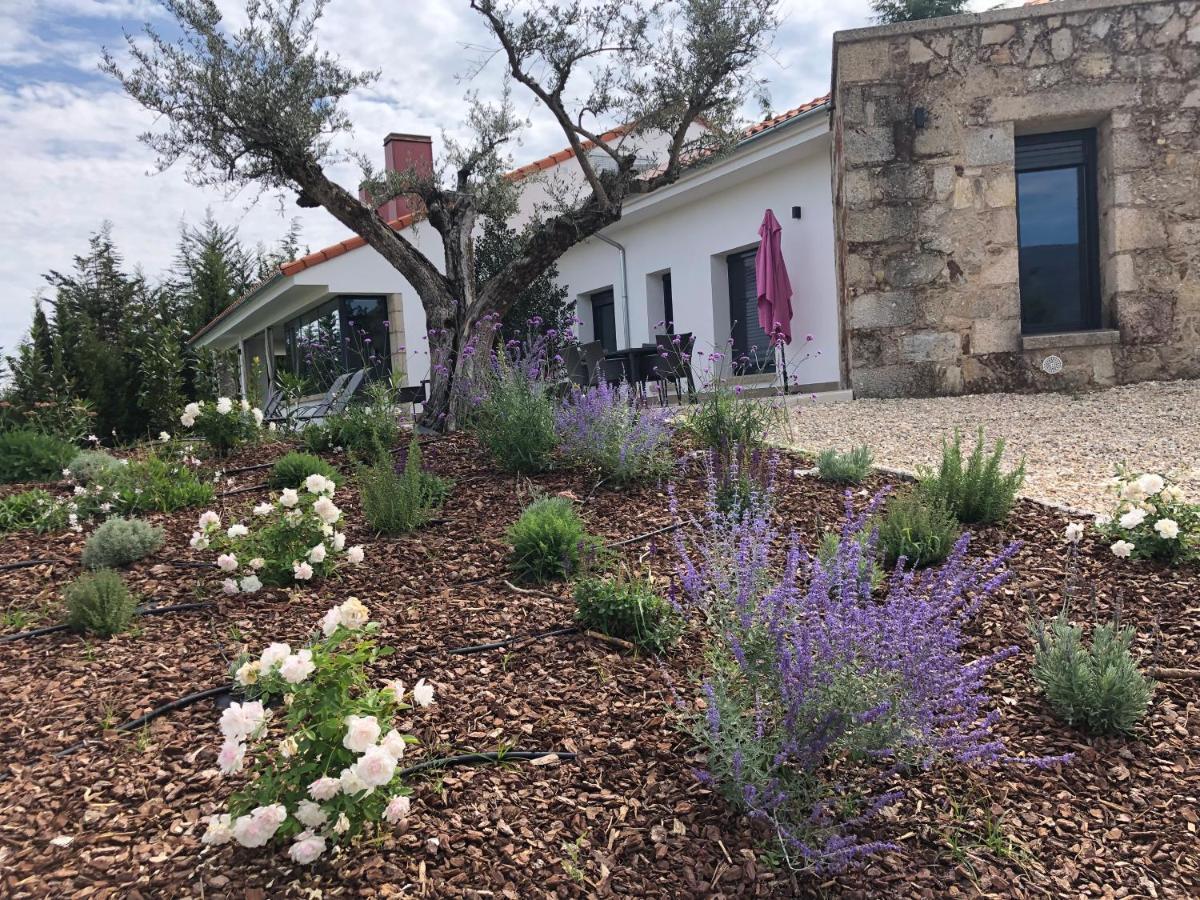 Apartamentos Rurales La Gloria De Yuste Jaraiz de la Vera Luaran gambar